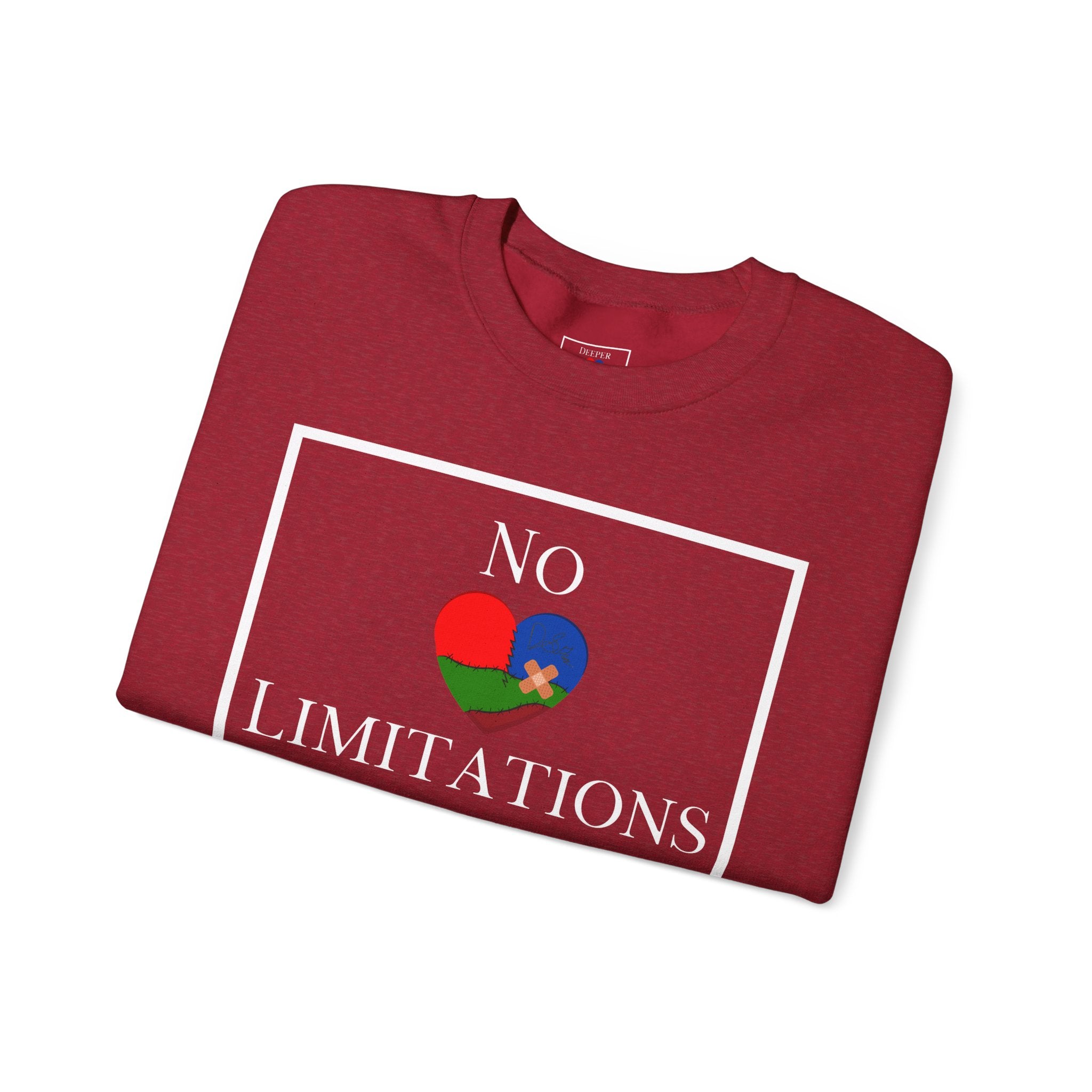 No Limitations Unisex Sweatshirt (DTTS)