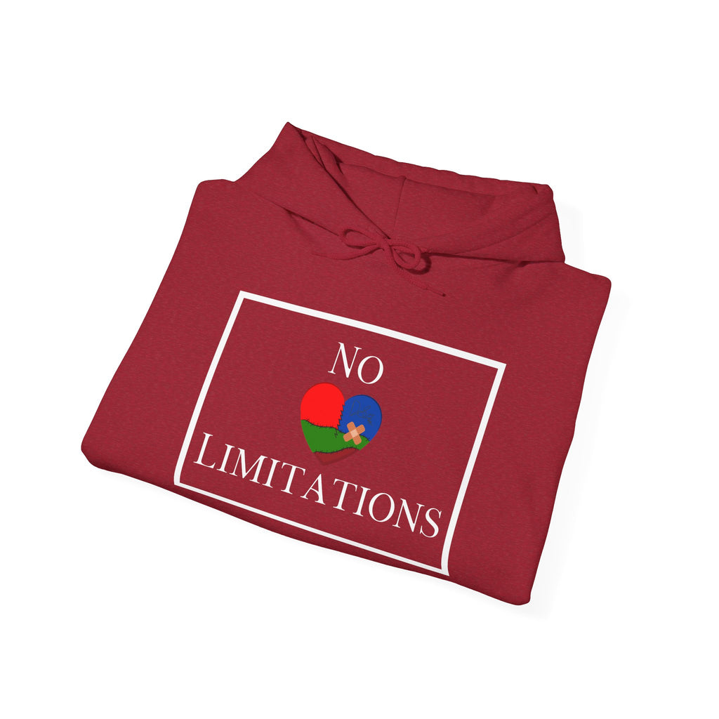 No Limitations Unisex Hoodie (DTTS)