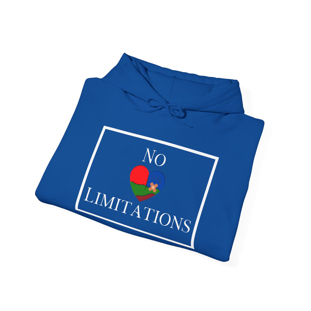 No Limitations Unisex Hoodie (DTTS)