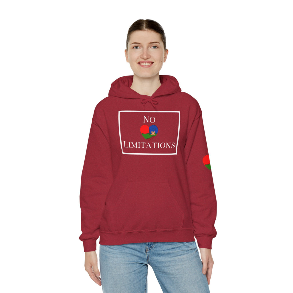 No Limitations Unisex Hoodie (DTTS)