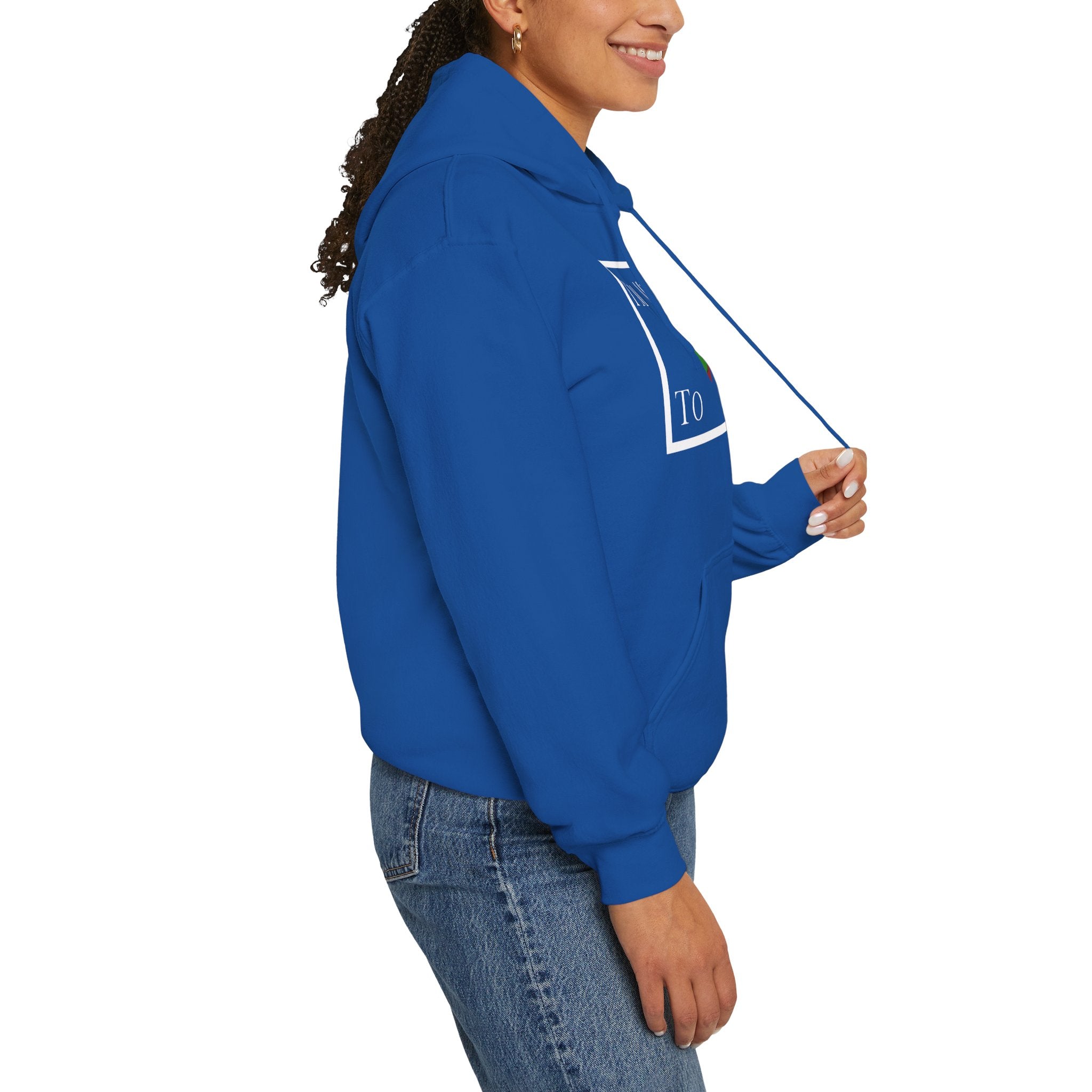I'm Meant To Win Unisex Hoodie (DTTS)