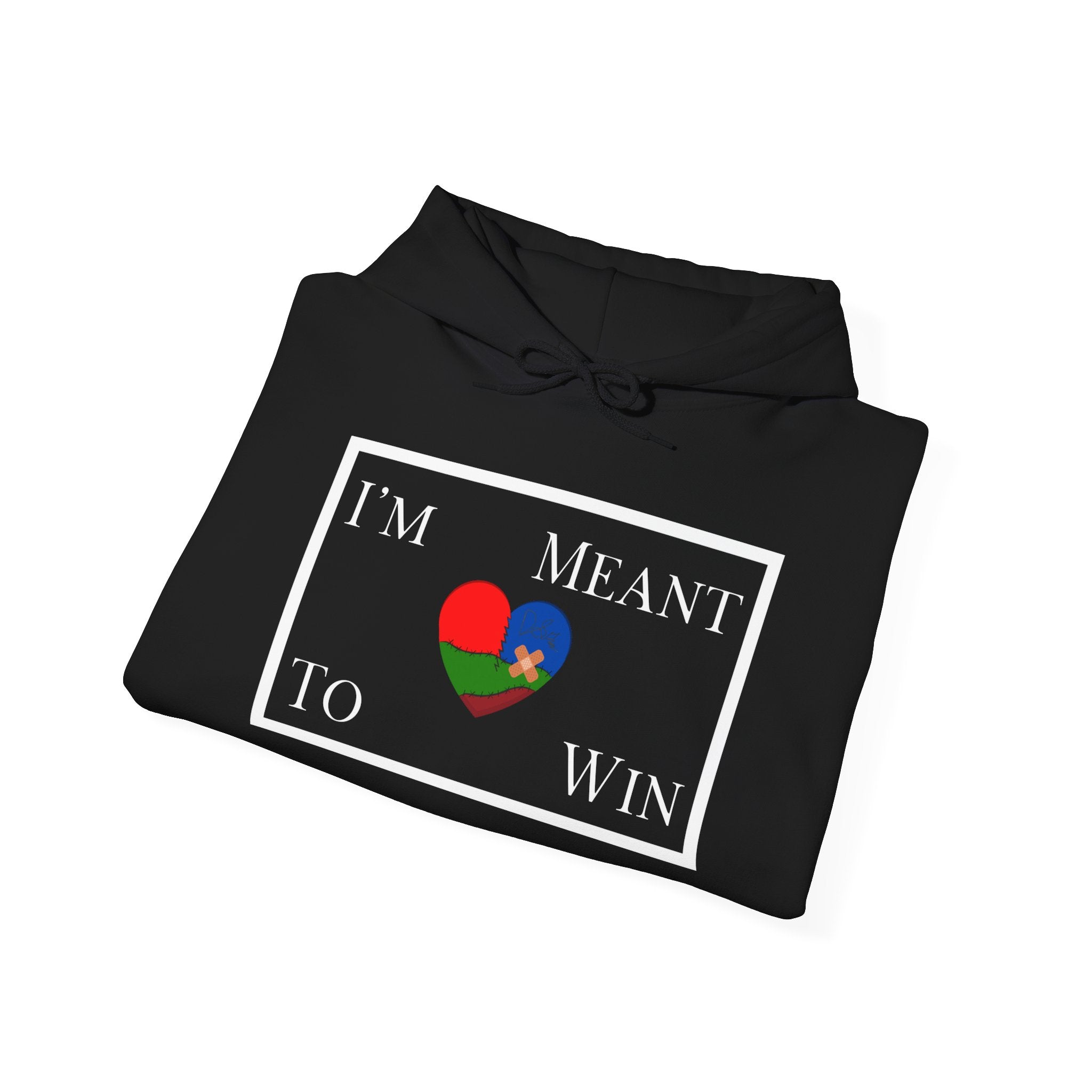I'm Meant To Win Unisex Hoodie (DTTS)
