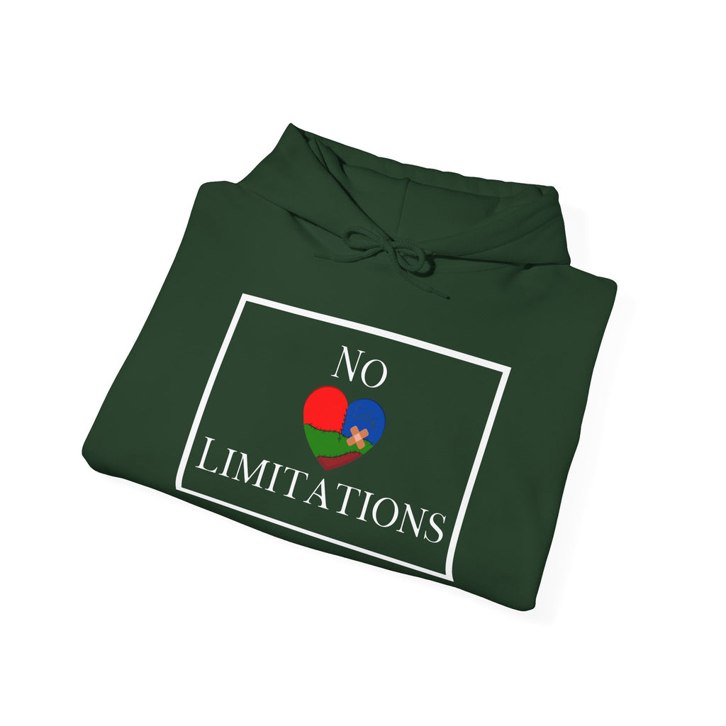No Limitations Unisex Hoodie (DTTS)