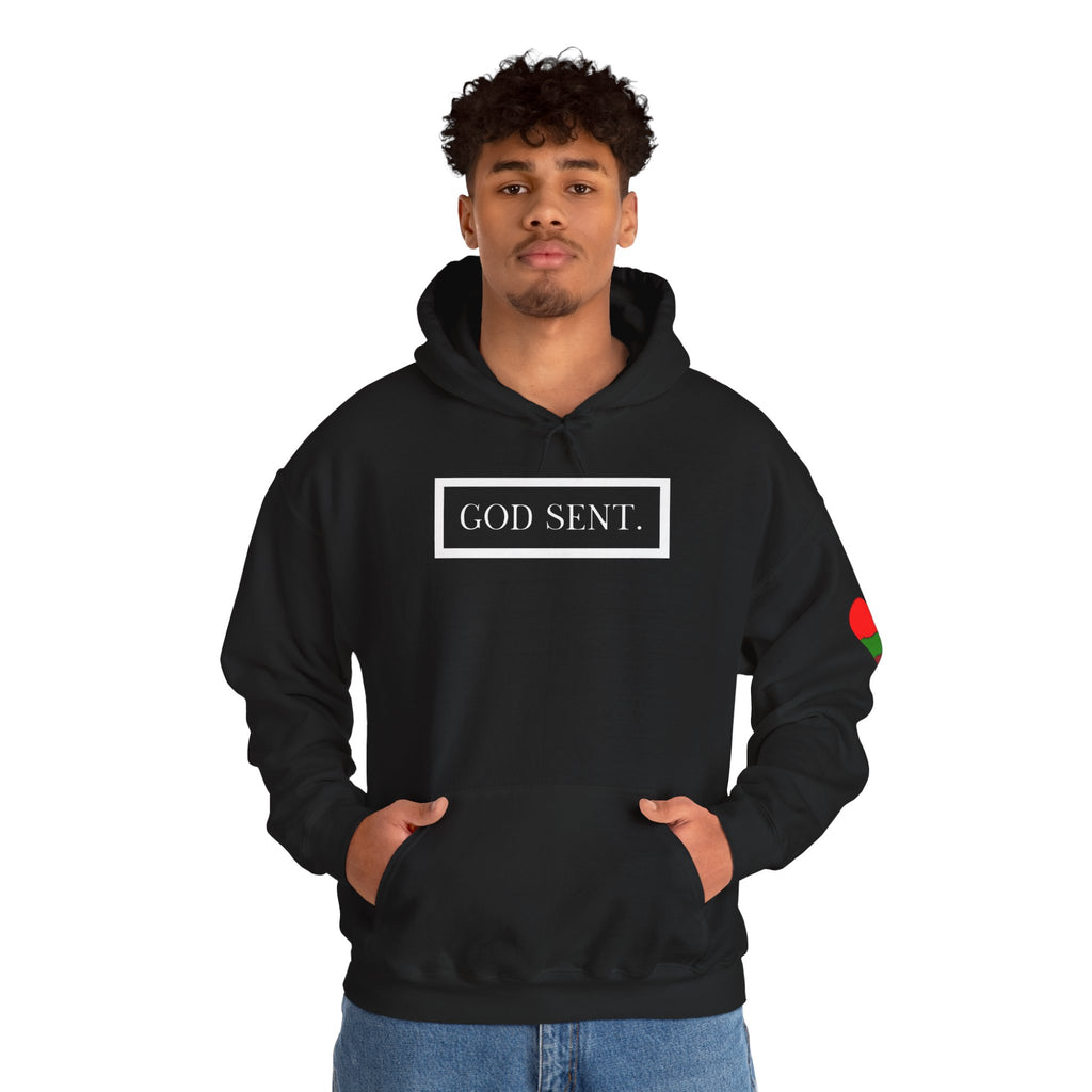 GOD SENT. Unisex Hoodie (DTTS)