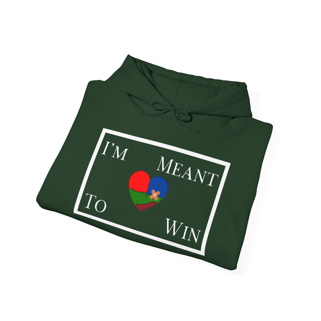 I'm Meant To Win Unisex Hoodie (DTTS)