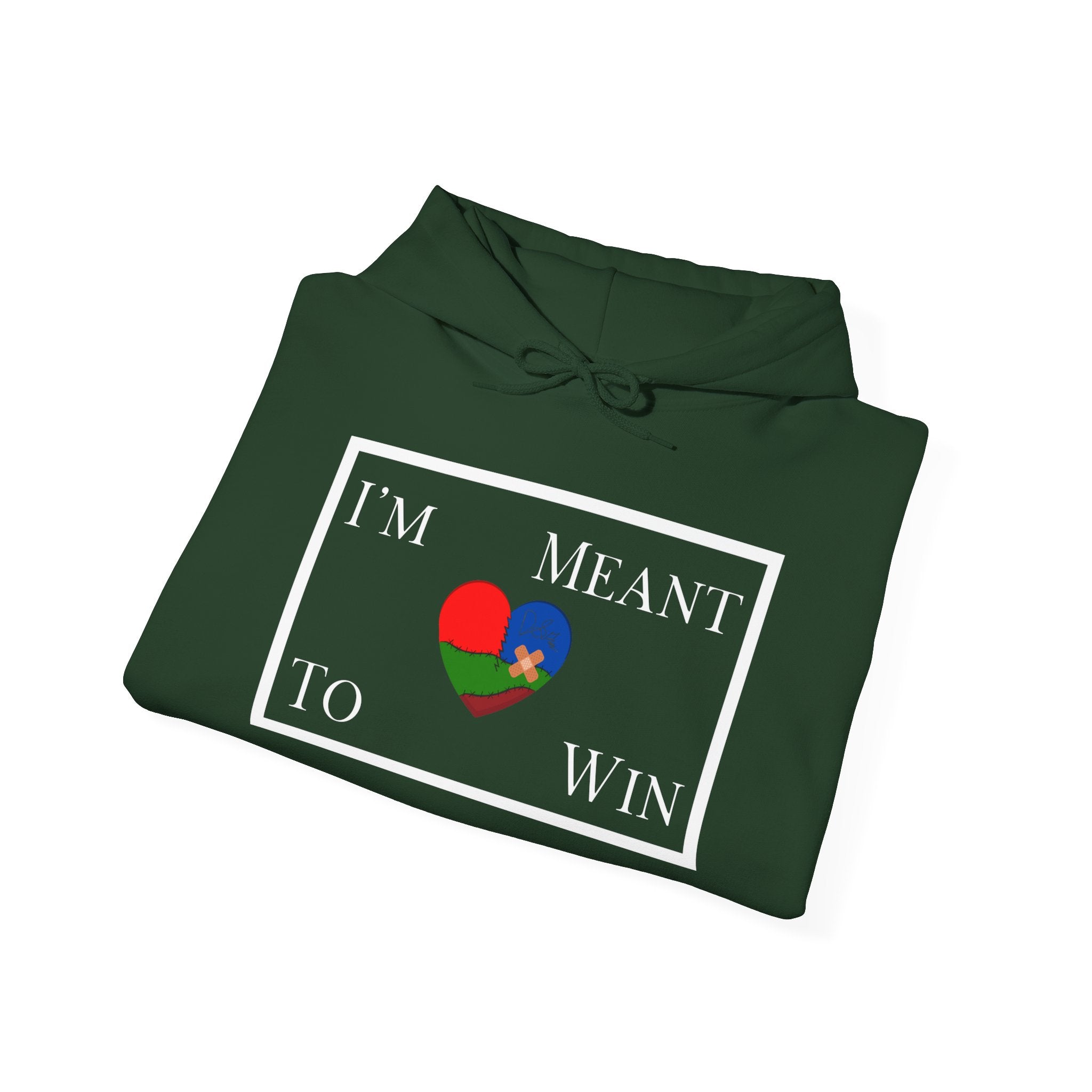 I'm Meant To Win Unisex Hoodie (DTTS)