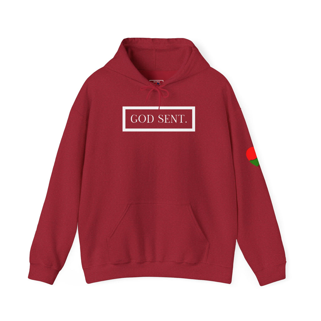 GOD SENT. Unisex Hoodie (DTTS)