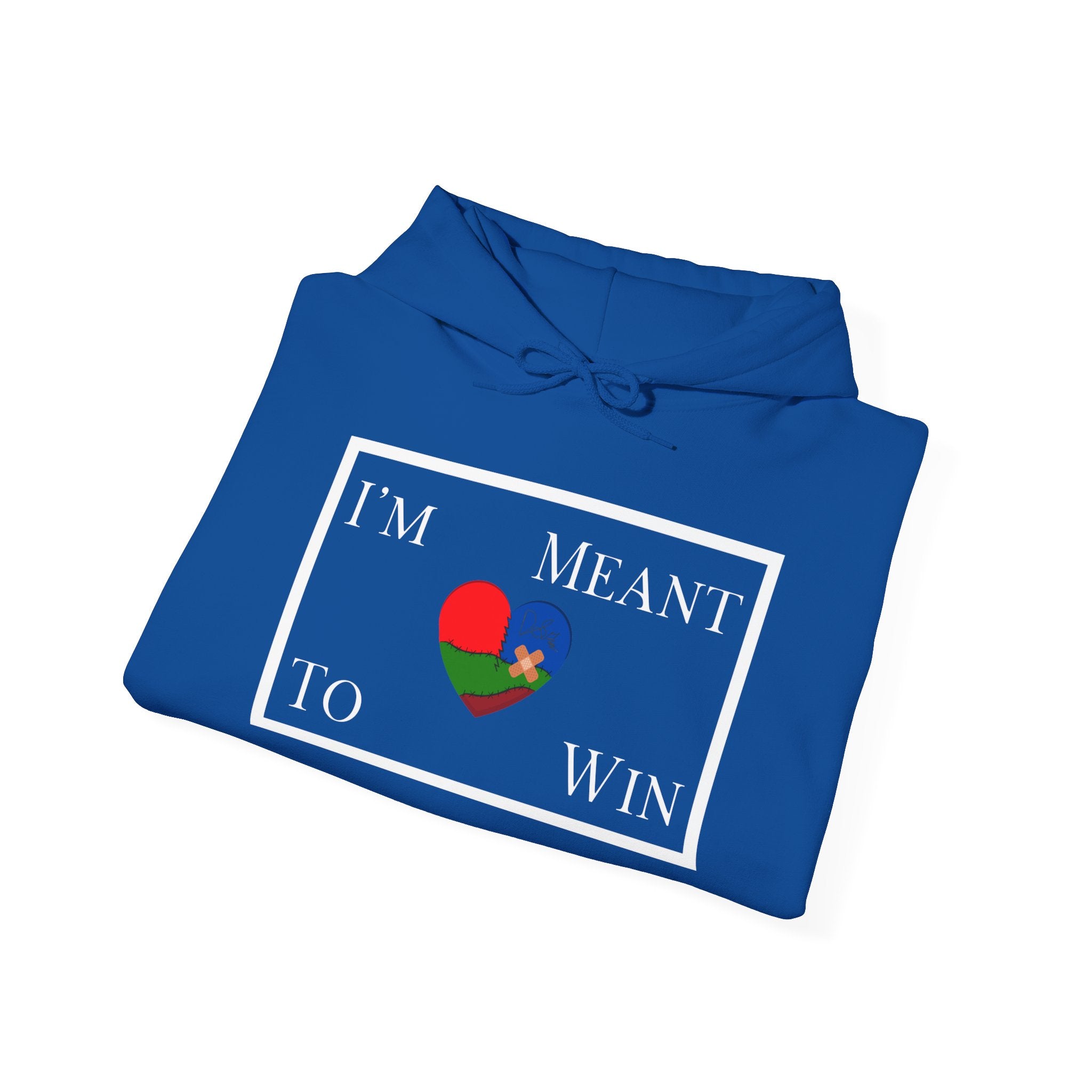 I'm Meant To Win Unisex Hoodie (DTTS)