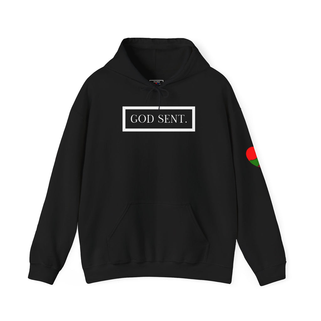 GOD SENT. Unisex Hoodie (DTTS)