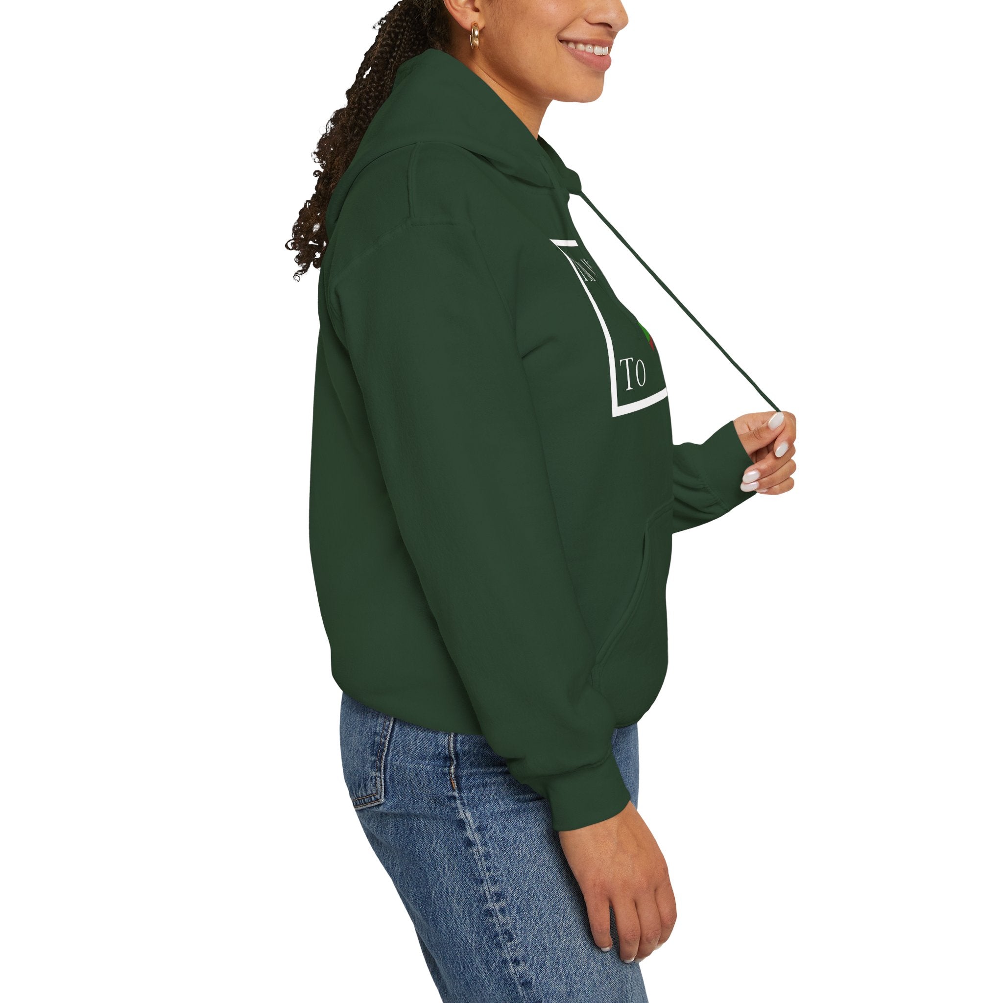I'm Meant To Win Unisex Hoodie (DTTS)