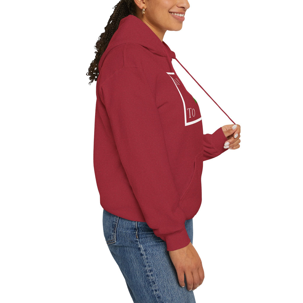 I'm Meant To Win Unisex Hoodie (DTTS)