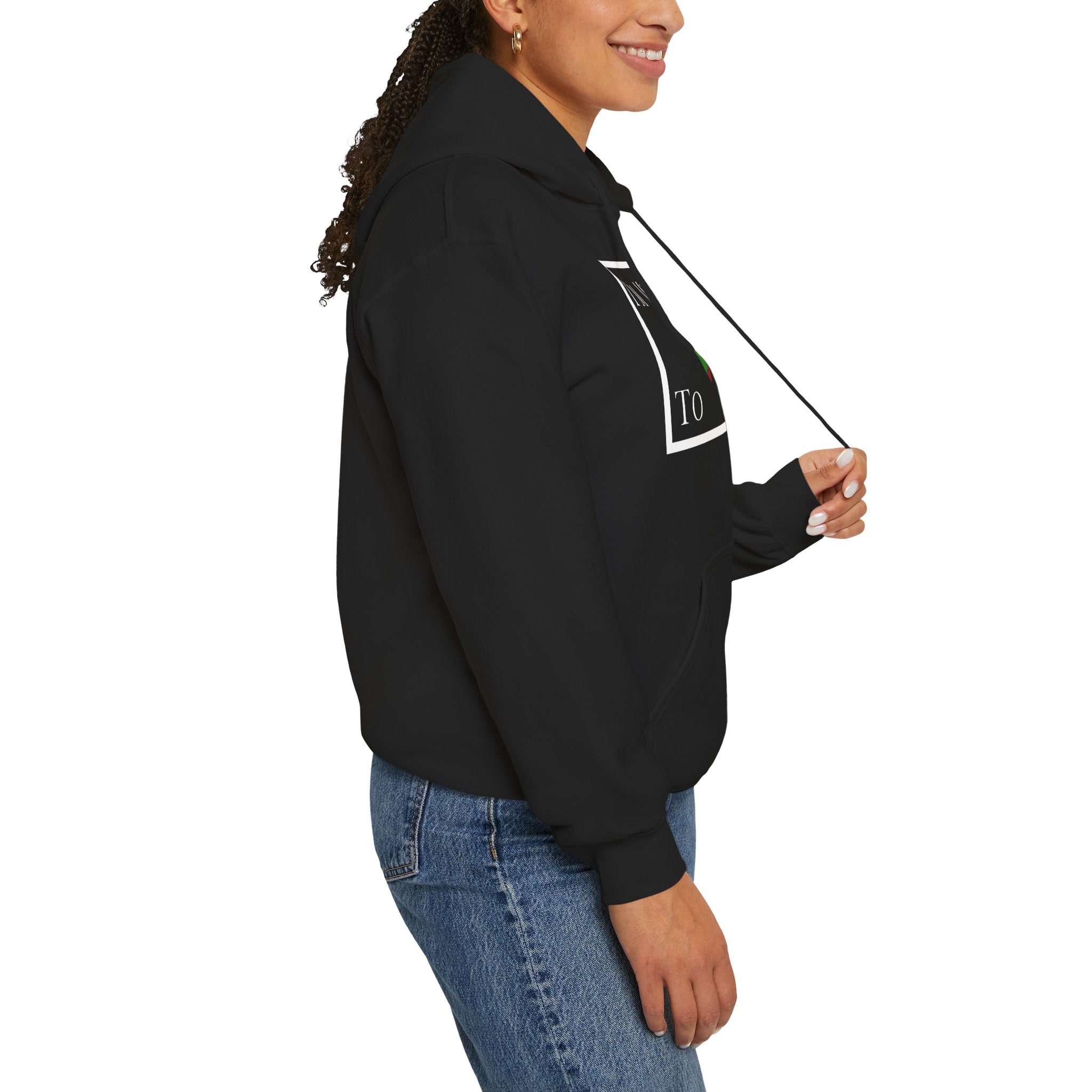 I'm Meant To Win Unisex Hoodie (DTTS)