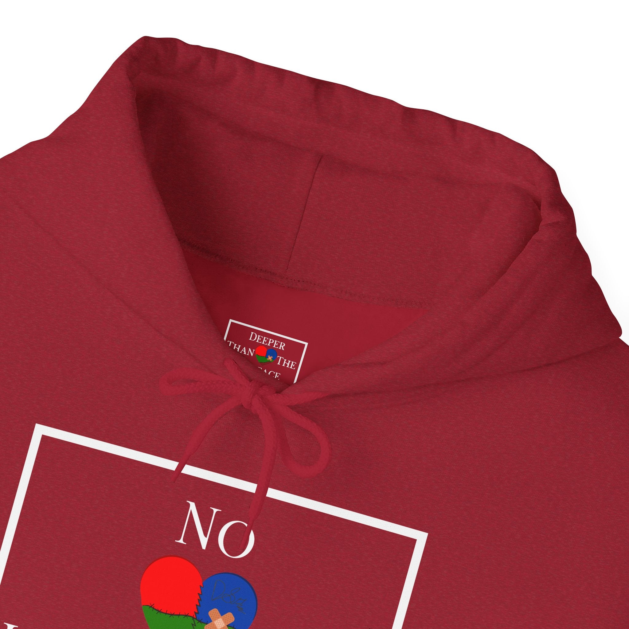 No Limitations Unisex Hoodie (DTTS)