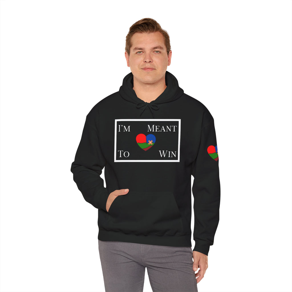 I'm Meant To Win Unisex Hoodie (DTTS)